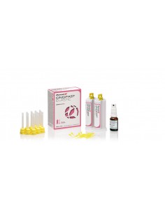GINGIFAST ELASTIC 1 CONF. X...