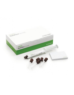 GUTTAFLOW BIOSEAL STANDARD SET