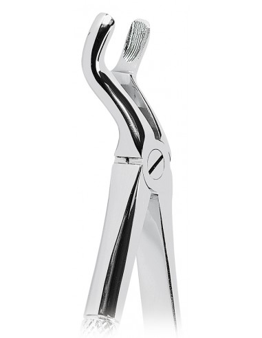 PINZA PER ESTRAZIONE DENTI DEL...