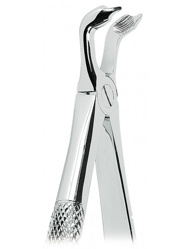 PINZA PER ESTRAZIONE DENTI DEL...