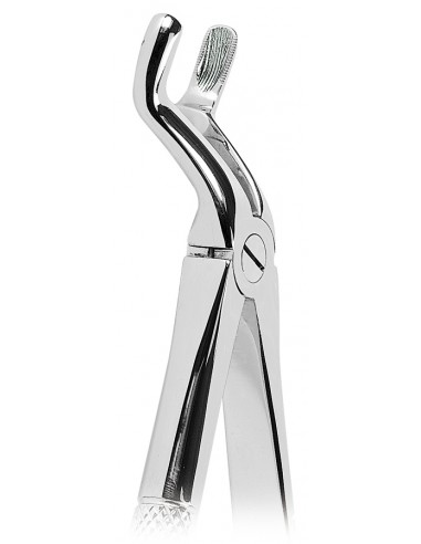 PINZA PER ESTRAZIONE DENTI DEL...