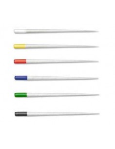 CONI CARTA TIME  ASS....